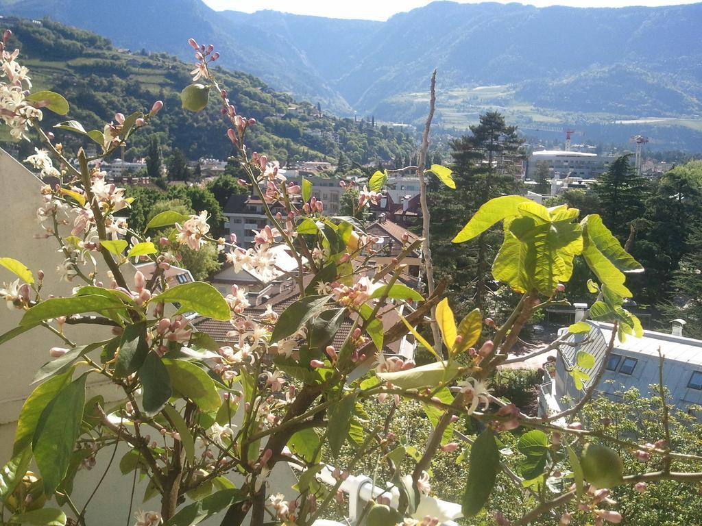 Hotel Lux Merano Bilik gambar