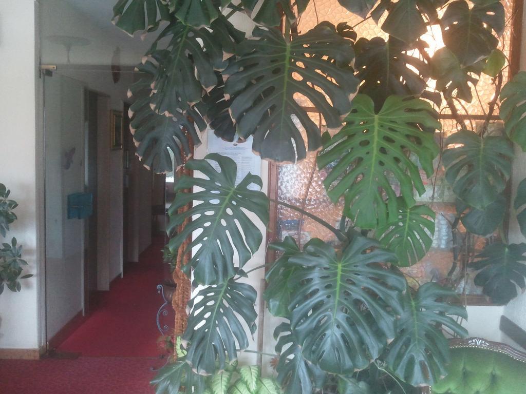 Hotel Lux Merano Luaran gambar